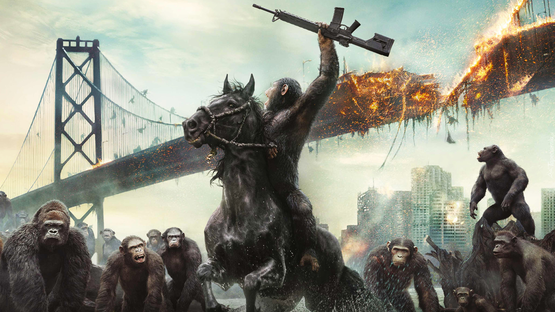 Film, Ewolucja planety małp, Dawn of the Planet of the Apes, Wojna, Zniszczony, Most, Małpy