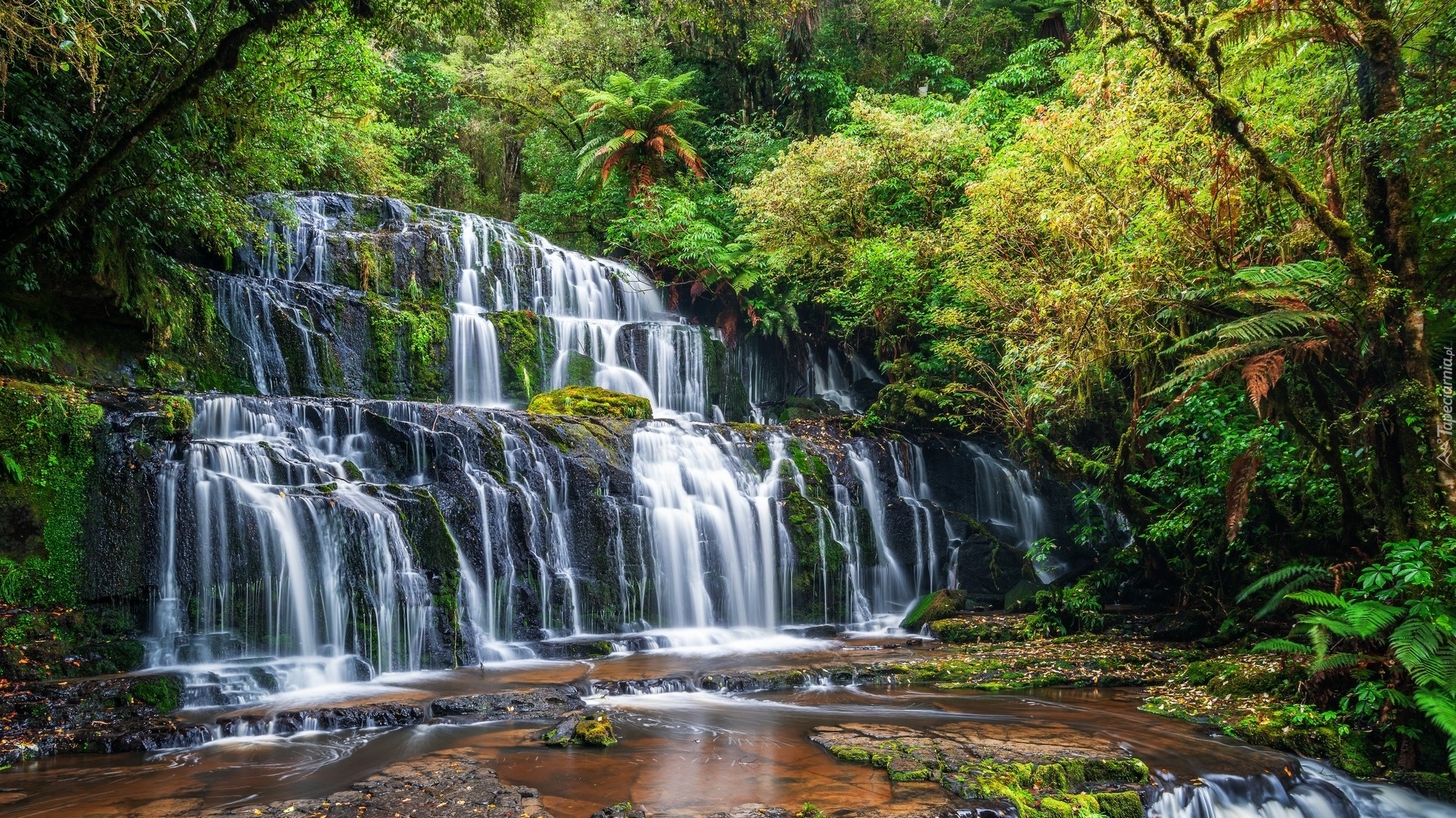 Wodospad, Purakaunui Falls, Skały, Rzeka, Las, Drzewa, Zielone, Rośliny, Nowa Zelandia