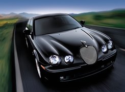 Czarny, Jaguar, E-Type