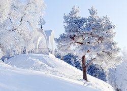 Zima, Drzewa, Altana, Wzgórze