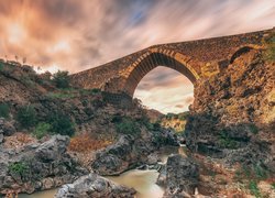 Rzeka Simeto, Skały, Kamienny, Most, Ponte dei Saraceni, Drzewa, Sycylia, Włochy