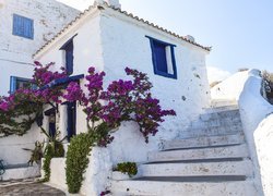 Grecja, Wyspa Skopelos, Dom, Schody, Krzew, Kwiaty, Bugenwilla