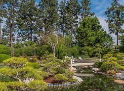 Ogród, Most, Staw, Drzewa, Krzewy, Earl Burns Miller Japanese Garden, Long Beach, Kalifornia, Stany Zjednoczone