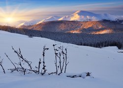 Ukraina, Góry Karpaty, Las, Zima, Wschód słońca