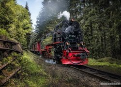 Pociąg parowy jadący przez las