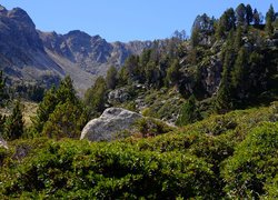 Góry, Pireneje, Kamienie, Głazy, Drzewa, Rośliny, Encamp, Andora