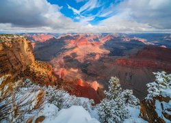 Zima, Skały, Drzewa, Park Narodowy Wielkiego Kanionu, Arizona, Stany Zjednoczone