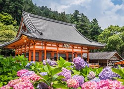 Świątynia, Katsuo-ji, Drzewa, Kwiaty, Liliowe, Różowe, Hortensje, Mino, Prefektura Osaka, Japonia