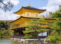 Świątynia, Kinkaku-ji, Złoty Pawilon, Staw, Kyko chi, Drzewa, Kioto, Japonia