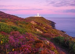 Latarnia Strumble Head, Wrzosowisko, Skały, Niebo, Hrabstwo Pembrokeshire, Walia