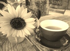 Szary + Sepia