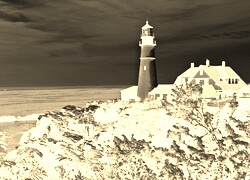 Sepia + Negatyw