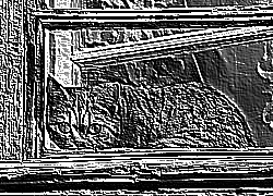 Skamielina