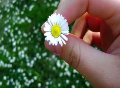 Oryginalny obrazek