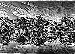 Skamielina