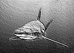 Skamielina