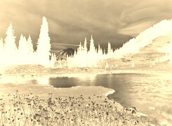 Sepia + Negatyw