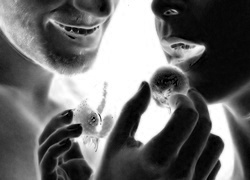 Szary + Negatyw