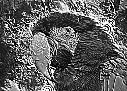 Skamielina