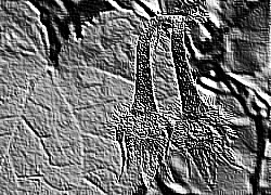 Skamielina