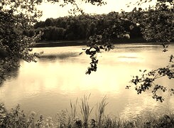 Sepia