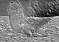 Skamielina