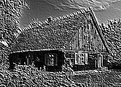 Skamielina