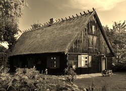 Szary + Sepia