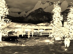 Sepia + Negatyw