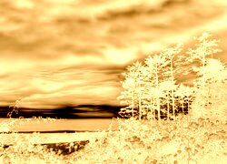 Sepia + Negatyw