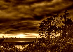 Sepia