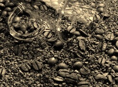Szary + Sepia