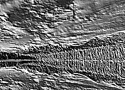 Skamielina