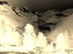 Sepia + Negatyw