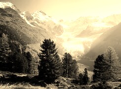Szary + Sepia