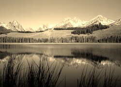 Szary + Sepia