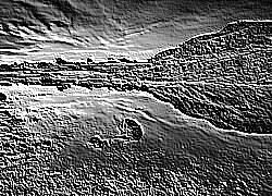 Skamielina