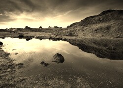 Szary + Sepia