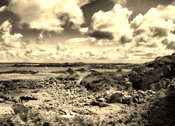 Sepia