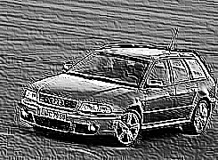 Skamielina