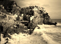 Szary + Sepia
