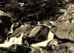 Sepia