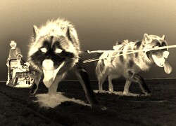 Sepia + Negatyw