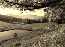 Sepia