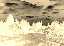 Sepia + Negatyw