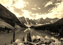 Szary + Sepia