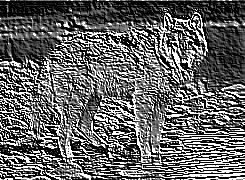 Skamielina