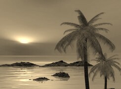 Szary + Sepia