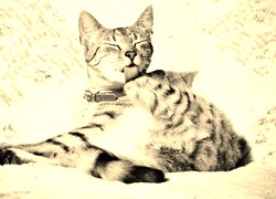 Sepia