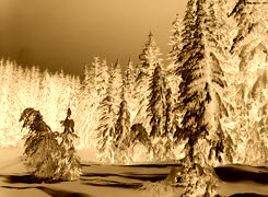 Sepia + Negatyw